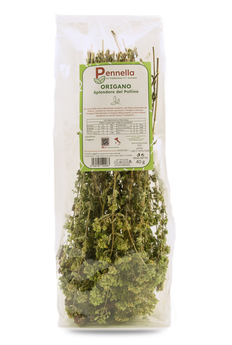 Origano Splendore del Pollino